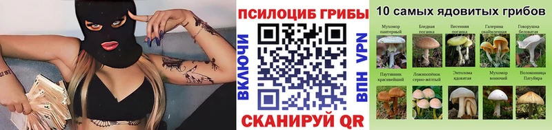 продажа наркотиков  Бирюсинск  Псилоцибиновые грибы мицелий 